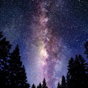 Meet your Posher, Cory